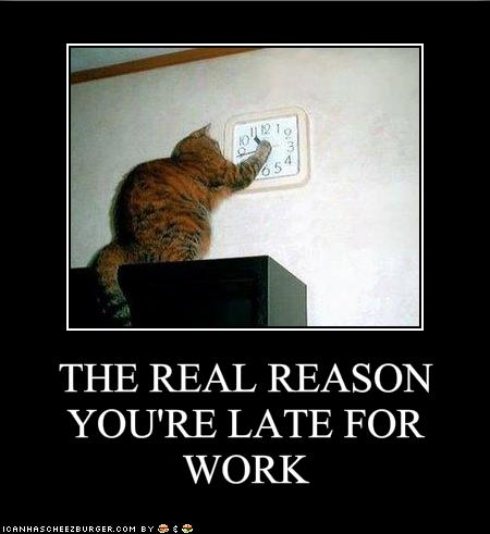 funny-pictures-this-is-the-real-reason-youre-late-for-work.jpg